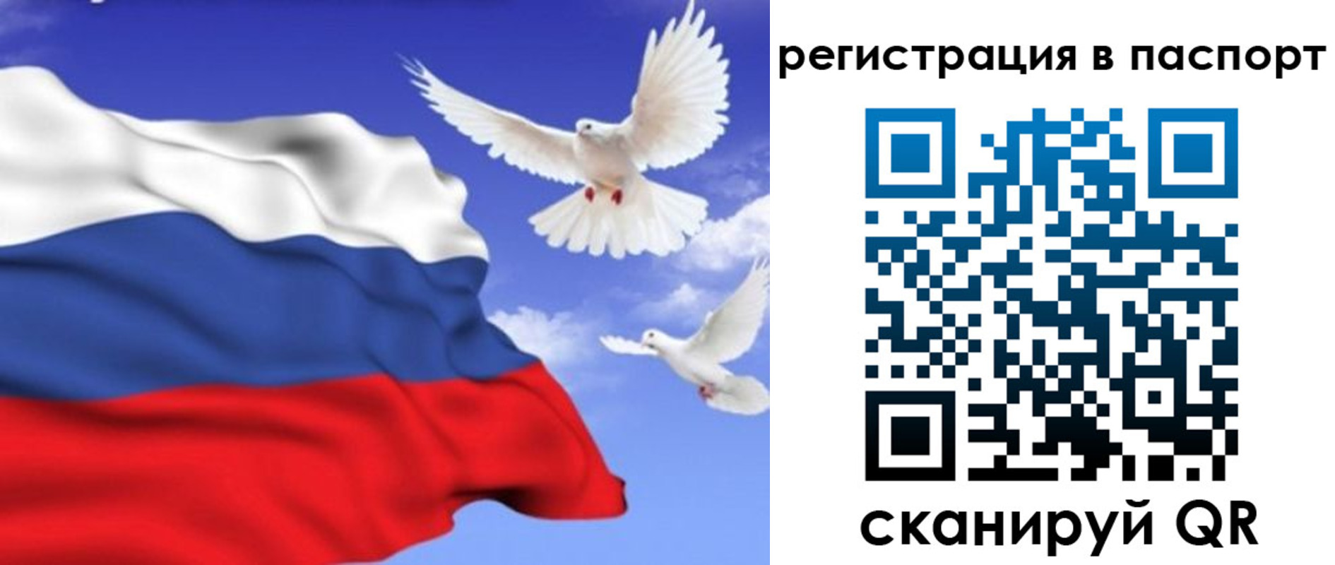 купить прописку в Навашино